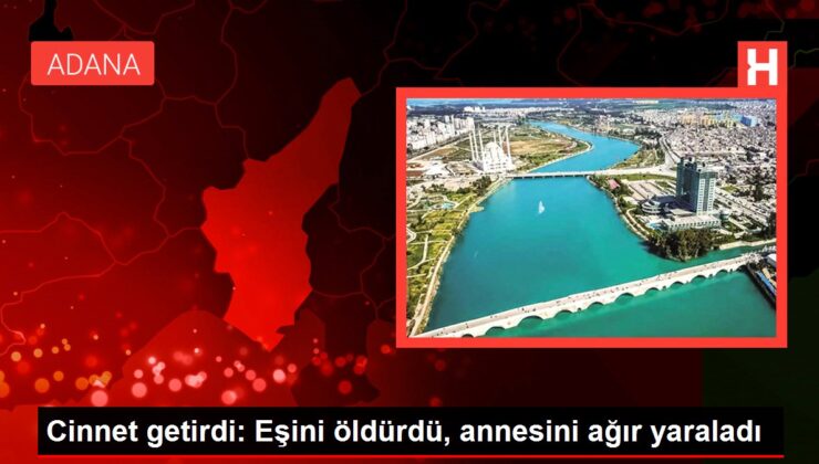 Cinnet getirdi: Eşini öldürdü, annesini ağır yaraladı