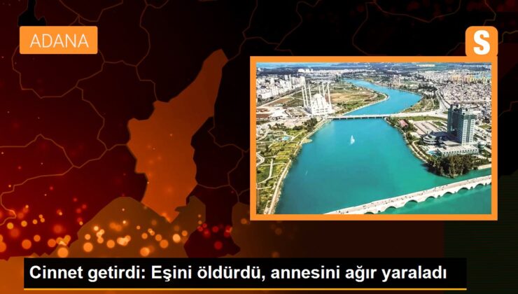 Cinnet getirdi: Eşini öldürdü, annesini ağır yaraladı