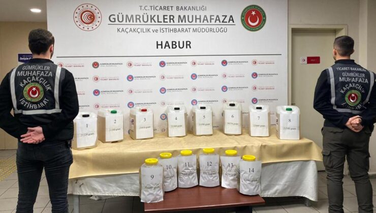 Habur’da 227 kilogram uyuşturucu ele geçirildi