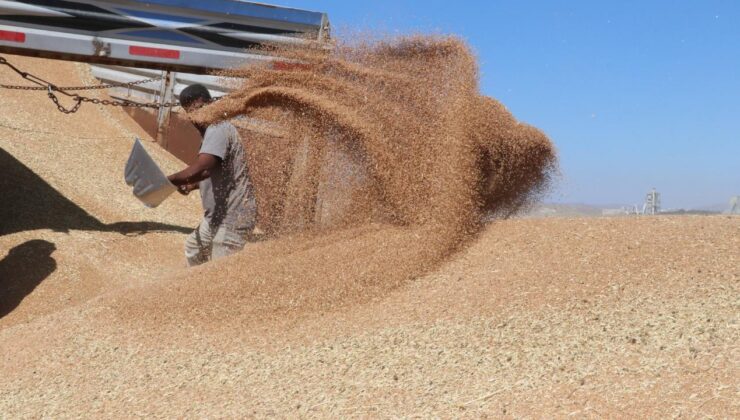 Güneydoğu’nun 3 aylık hububat ihracatı 836,5 milyon dolara ulaştı