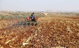 Çiftçilere tarımsal destek ödemesi bugün yapılacak