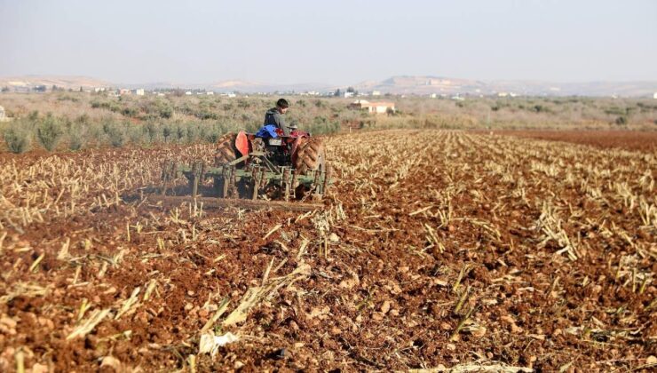 Çiftçilere tarımsal destekleme ödemesi yapıldı