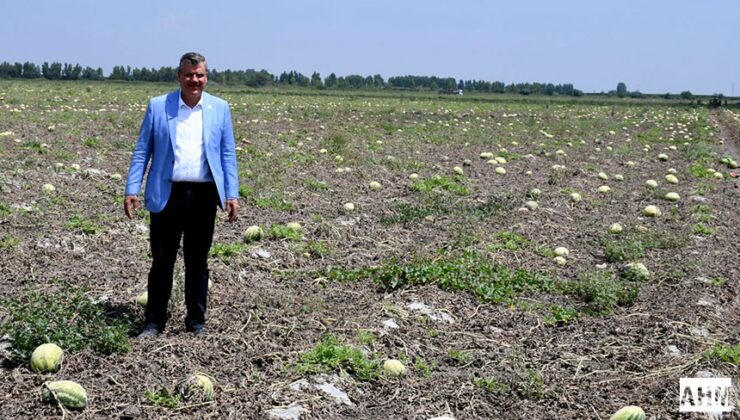 Ayhan Barut’tan Su Çağrısı “Suyu ve Yaşamı Koruyalım”