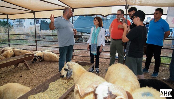 Oya Tekin’den Denetim: Kurban Satış Alanlarında İnceleme