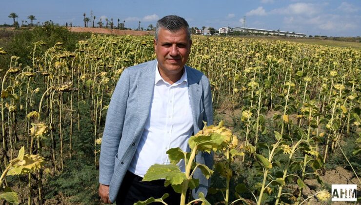 Ayhan Barut’tan Çağrı “Çukurova Çiftçisinin Zararı Karşılansın”