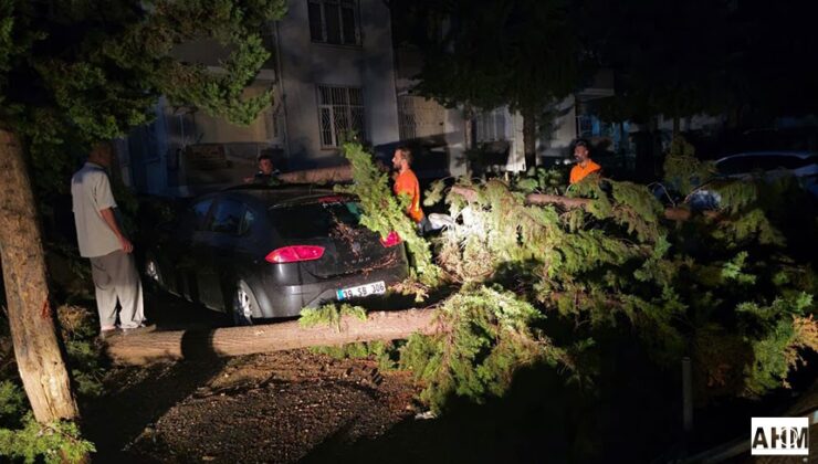 Çukurova Belediyesi Ekipleri Gece Boyunca Görevdeydi