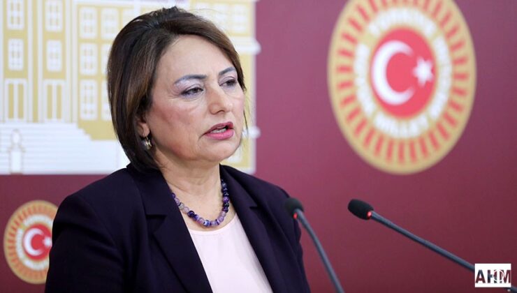 “Kahverengi Kokarca Böceği Fındıktan Sonra Narenciyeyi de Tehdit Ediyor”