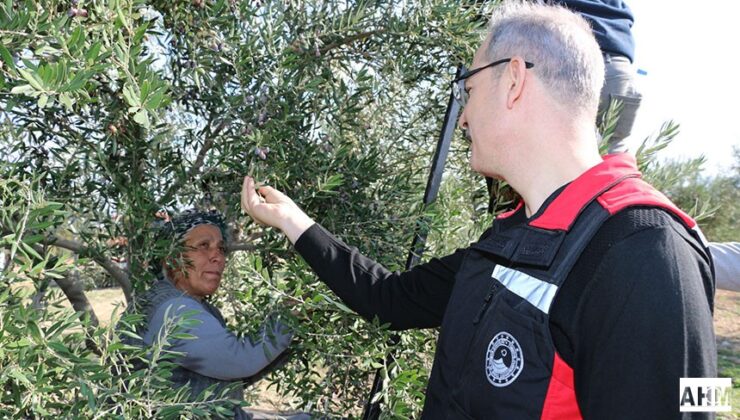 Tarımda Yeni Destekleme Modeli Hayata Geçiyor